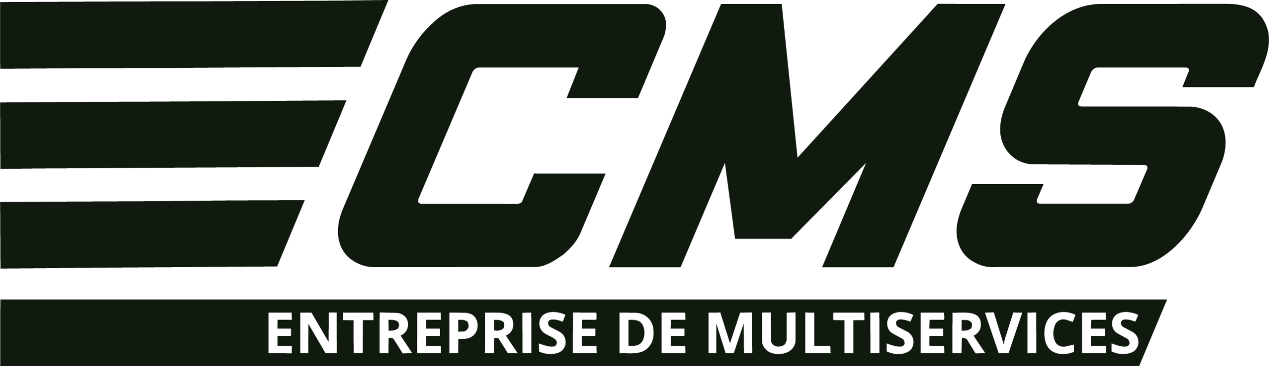 Logo CMS