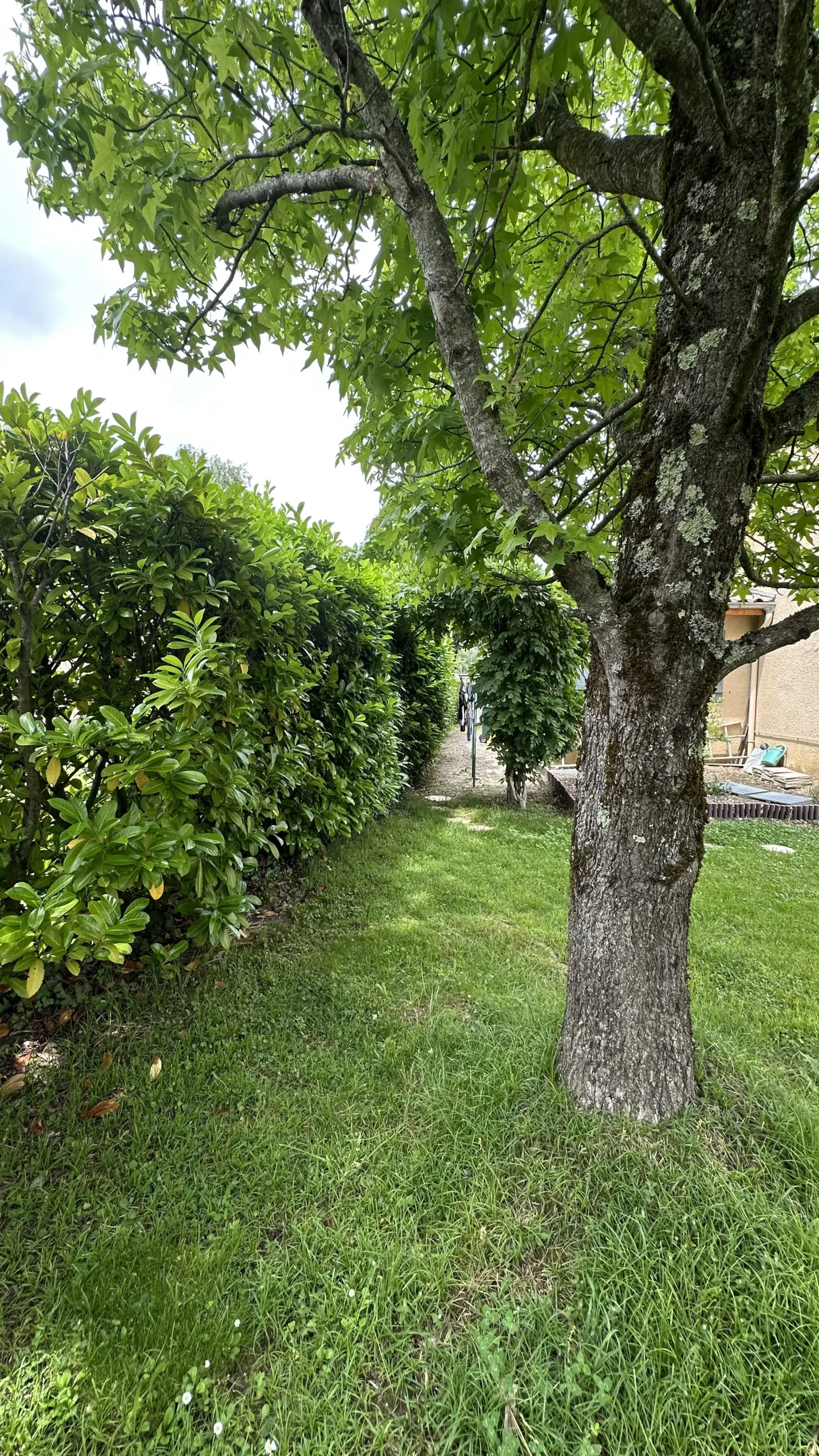 Jardin entretenu en Ariège