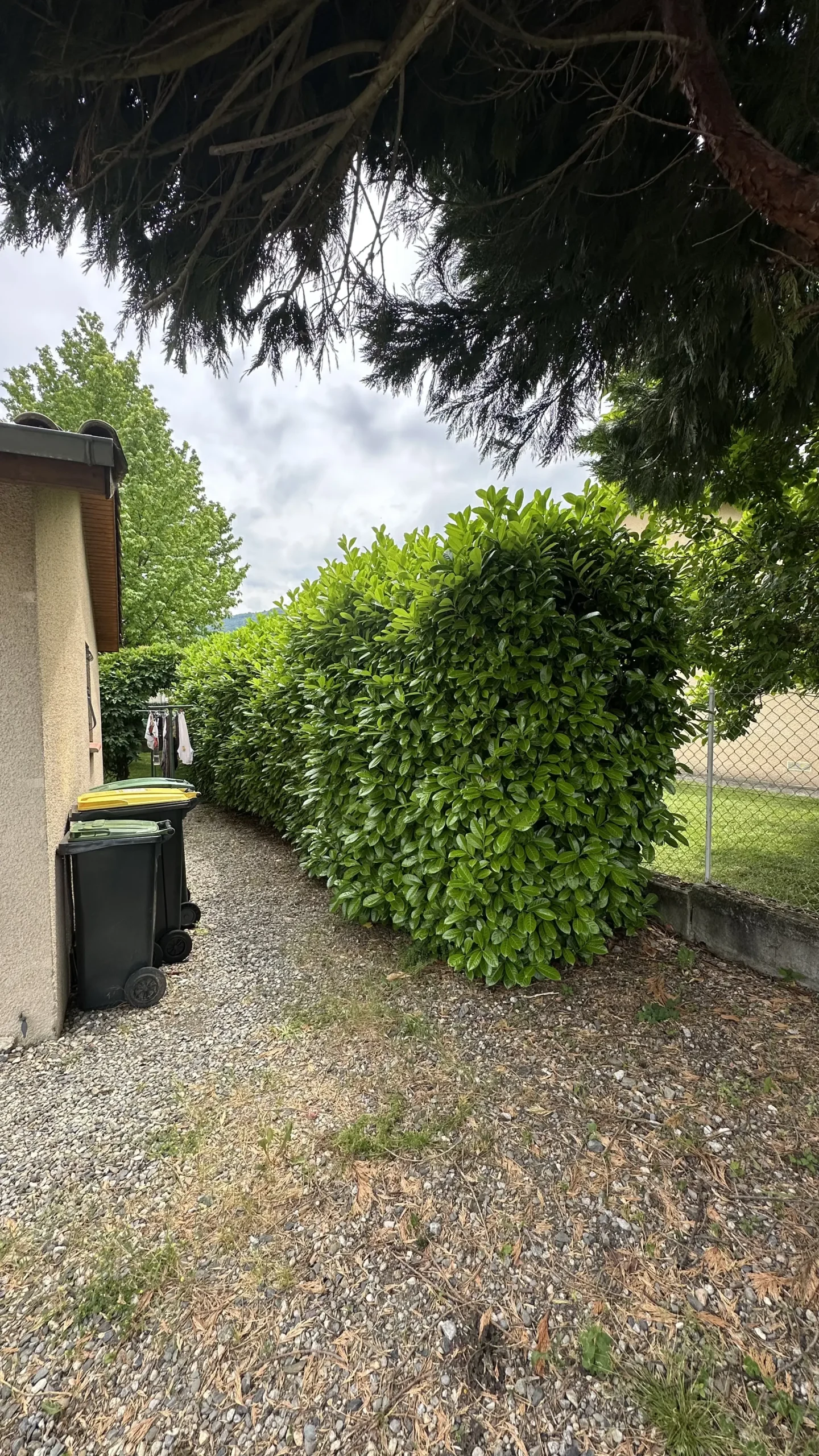 Tonte et entretien de jardin