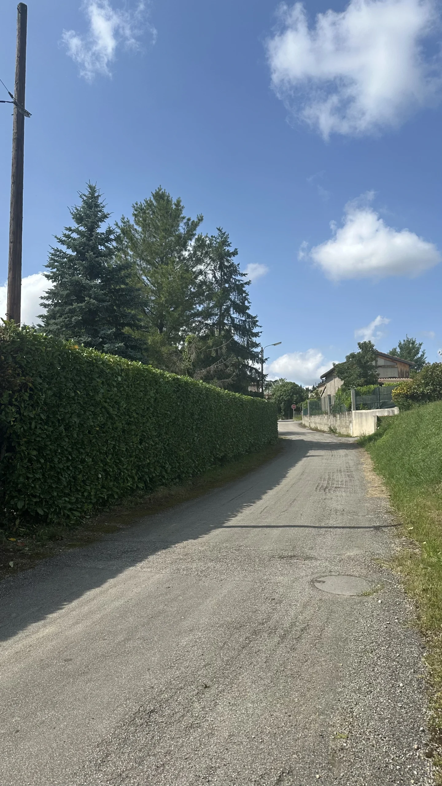 Après — terrain propre débroussaillé
