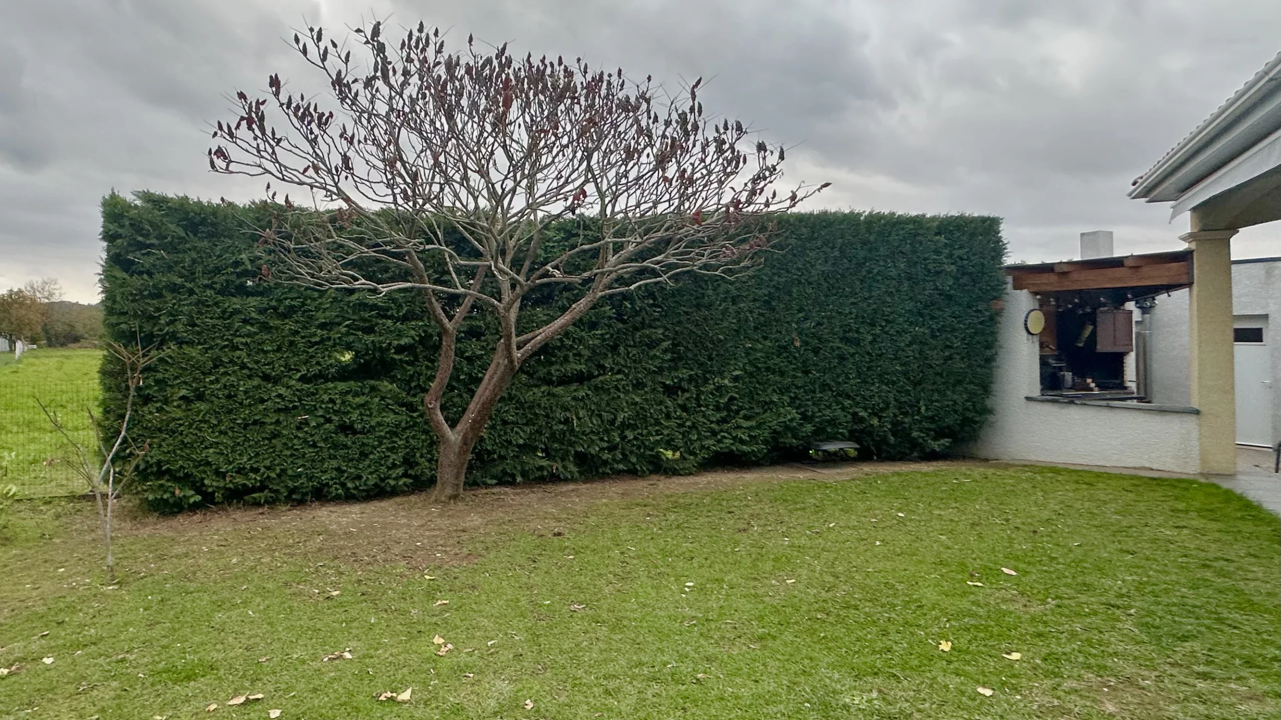 Après tonte — jardin entretenu